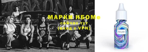 хмурый Алексин