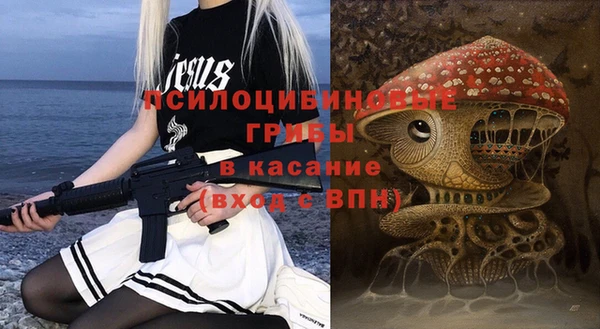 молекула духа Алексеевка