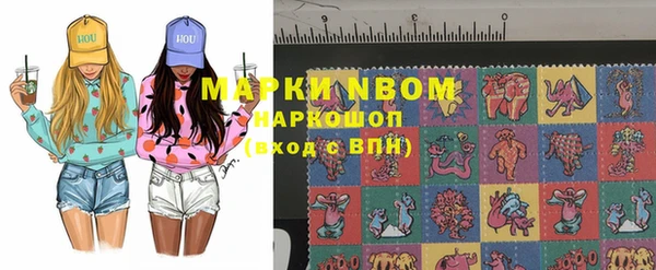 хмурый Алексин