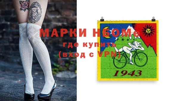 хмурый Алексин