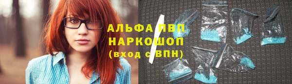 молекула духа Алексеевка
