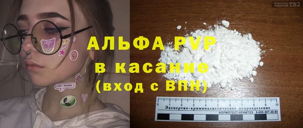 хмурый Алексин