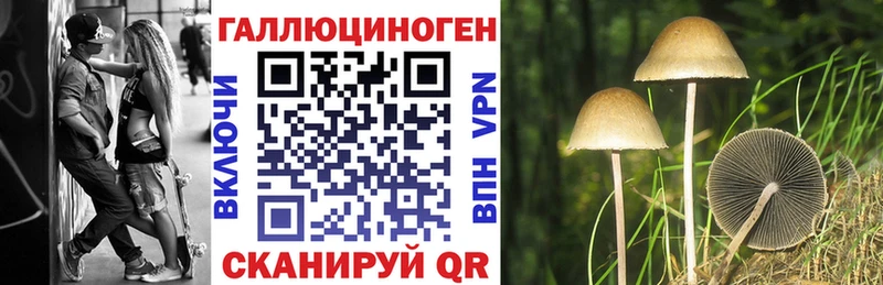 Псилоцибиновые грибы Psilocybe  Урюпинск 